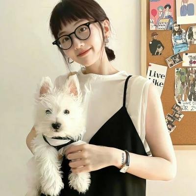 小鹬初登场
